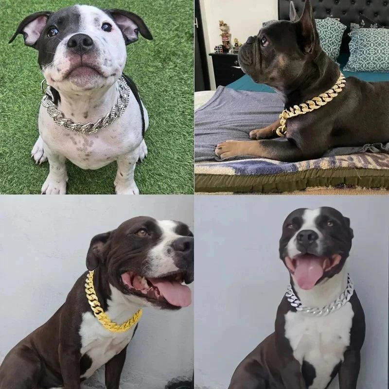Colar acessórios para pet