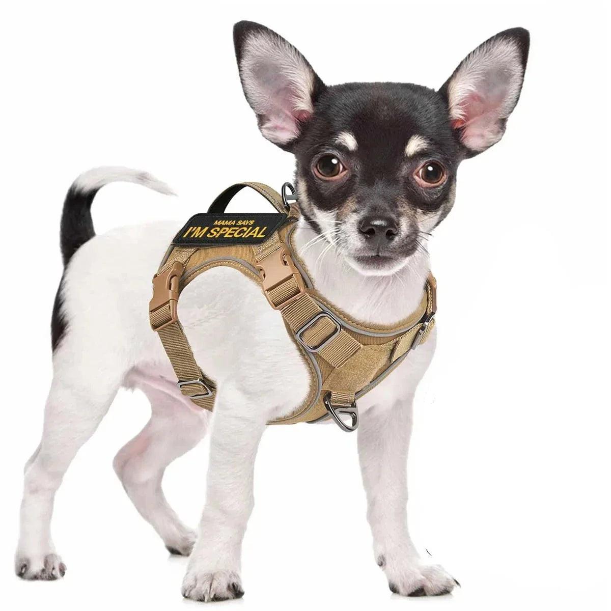 Peitoral Colete para Cães Pequenos - O Chico Tem