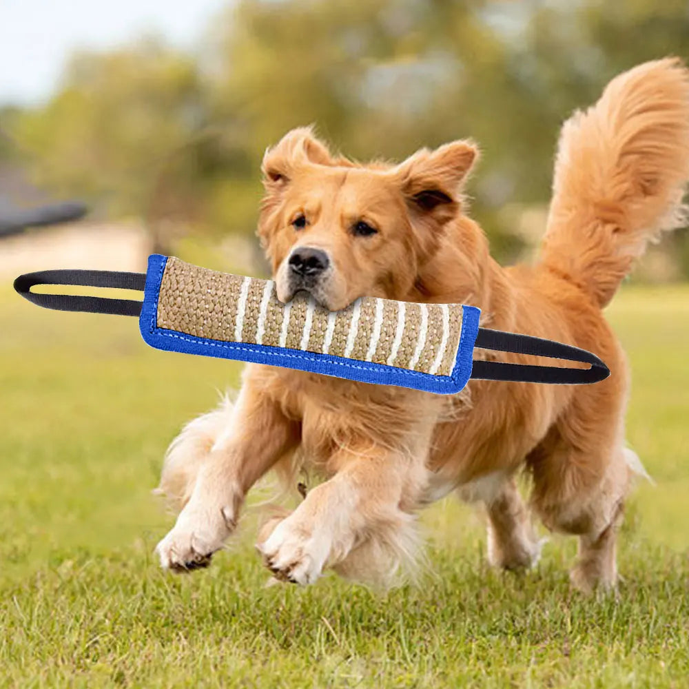 Brinquedos de Mordida para Cães - O Chico Tem