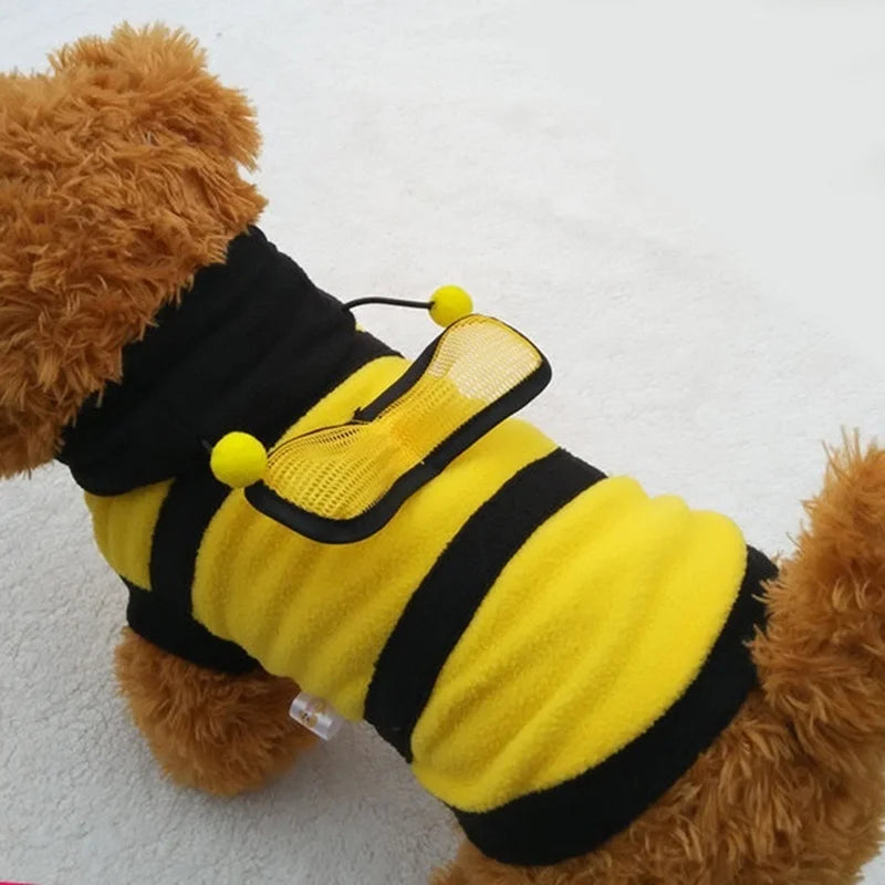 Roupa de Abelhinha para PETS - O Chico Tem