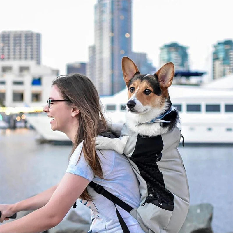 Forte náilon cão portador mochila para pequenos cães médios de alta qualidade respirável ciclismo mochila para viagens ao ar livre pet suprimentos