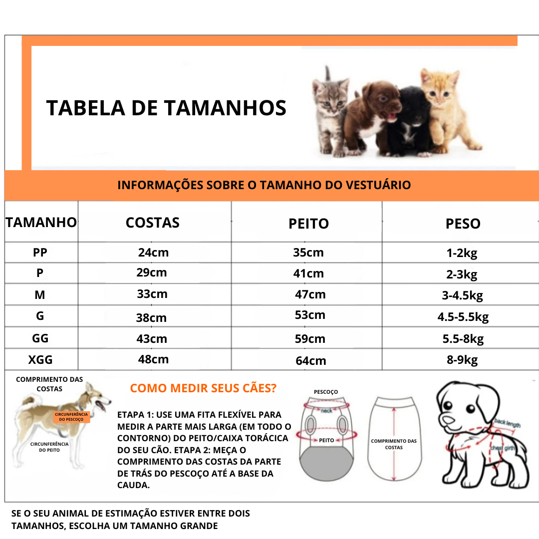 Fantasia Divertida de Desenho Animado para PETS - O Chico Tem