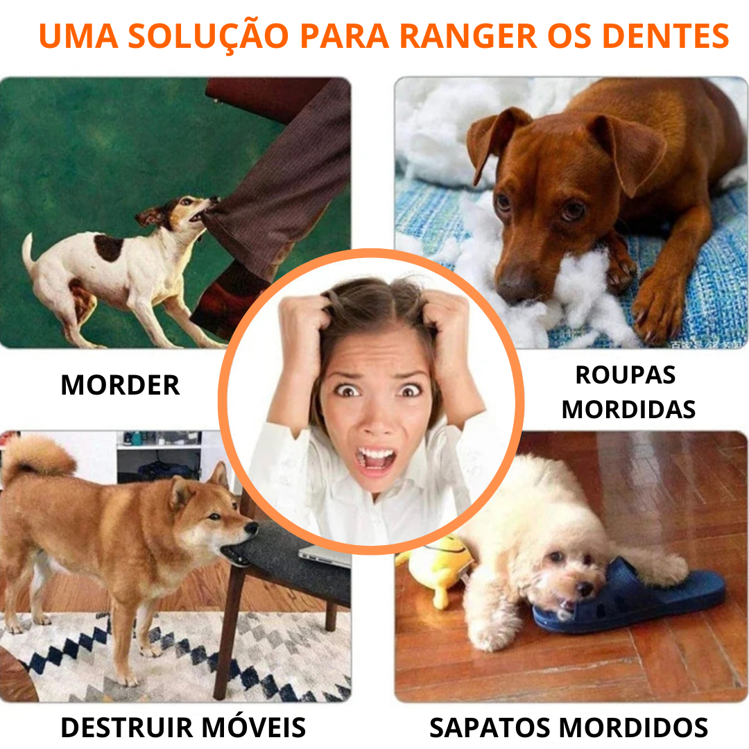 Bola de Brinquedo para PETS - O Chico Tem