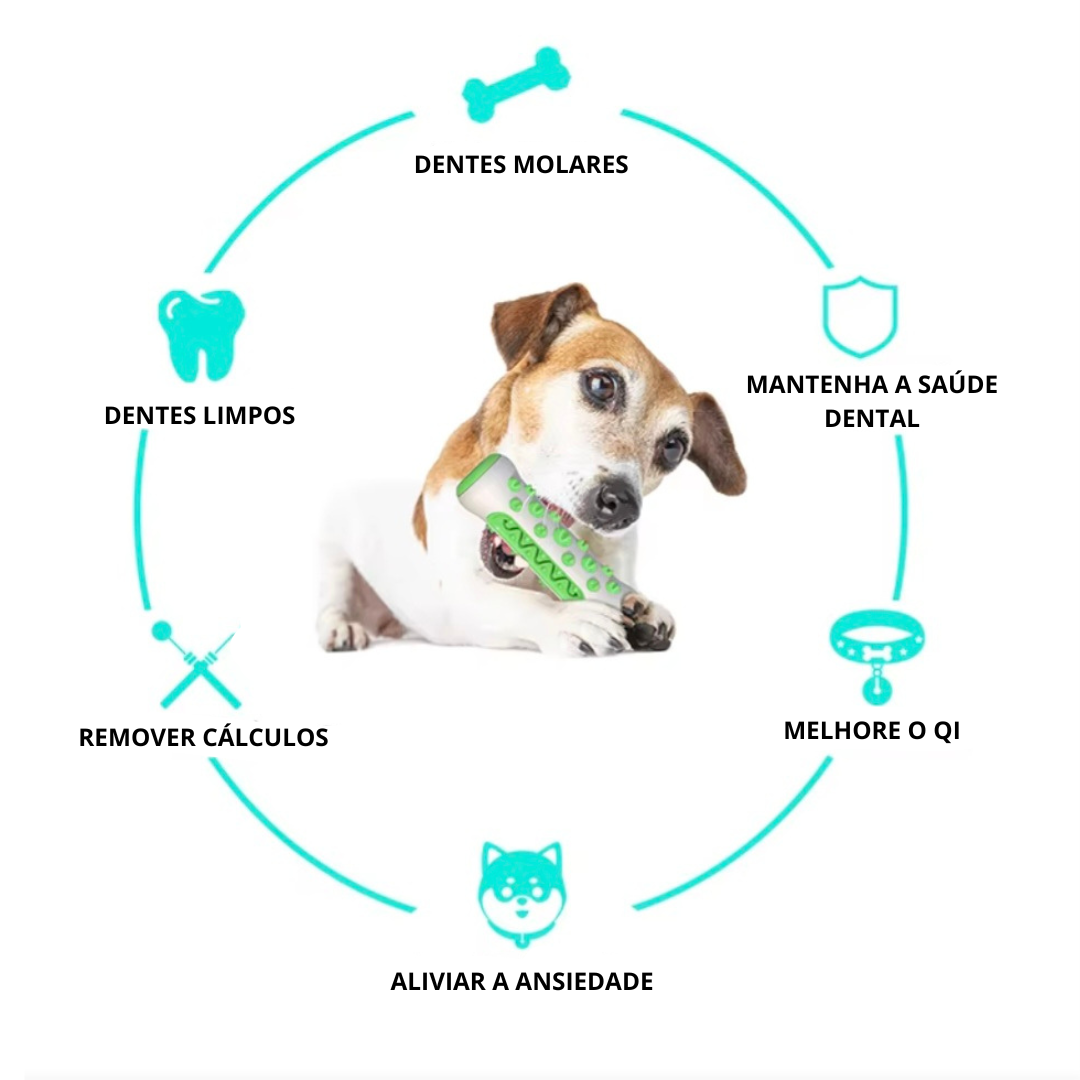 Brinquedos para Limpeza de Dentes para PETS - O Chico Tem