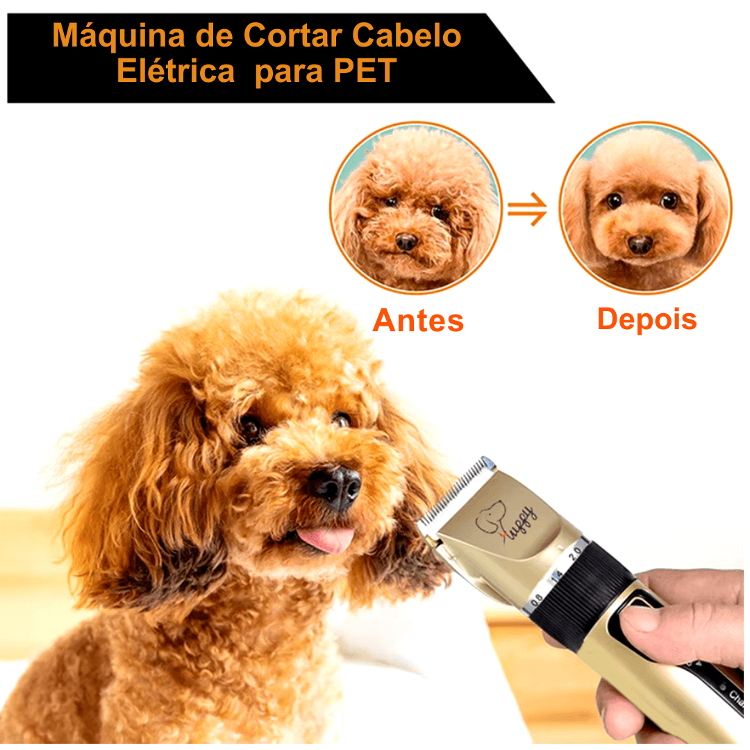 Kit Corte e Tosa Profissional para PETS - O Chico Tem
