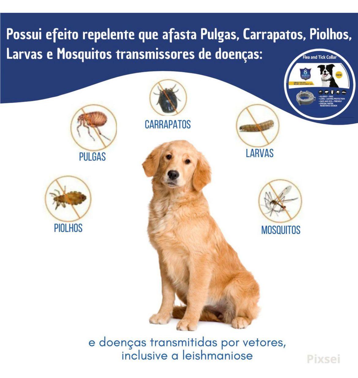 Coleira anti-pulgas e carrapatos para pets