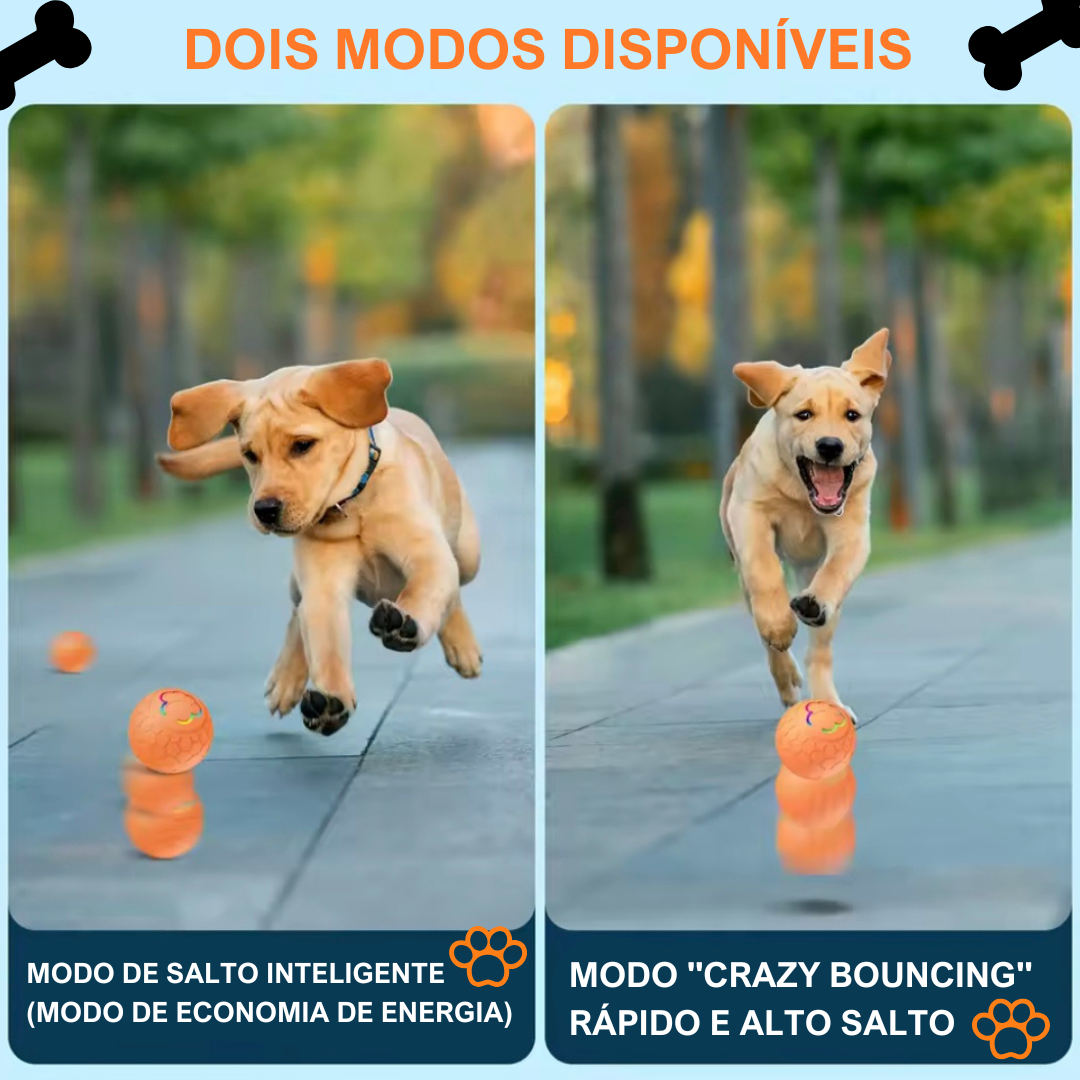 Bola LED Inteligente para Pets - Interativa - O Chico Tem