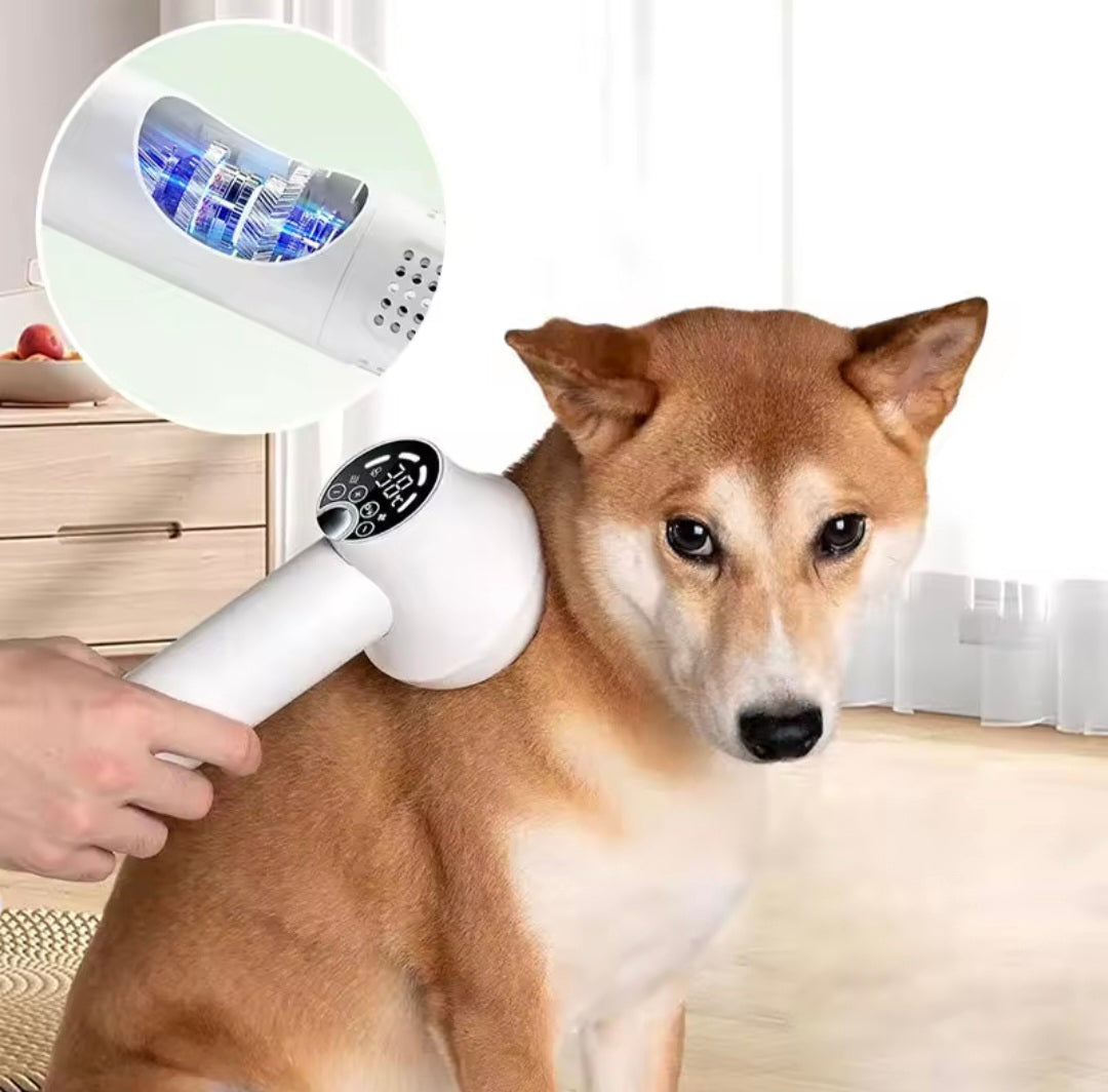 Pet Secador 2 em 1 para  - O Chico Tem