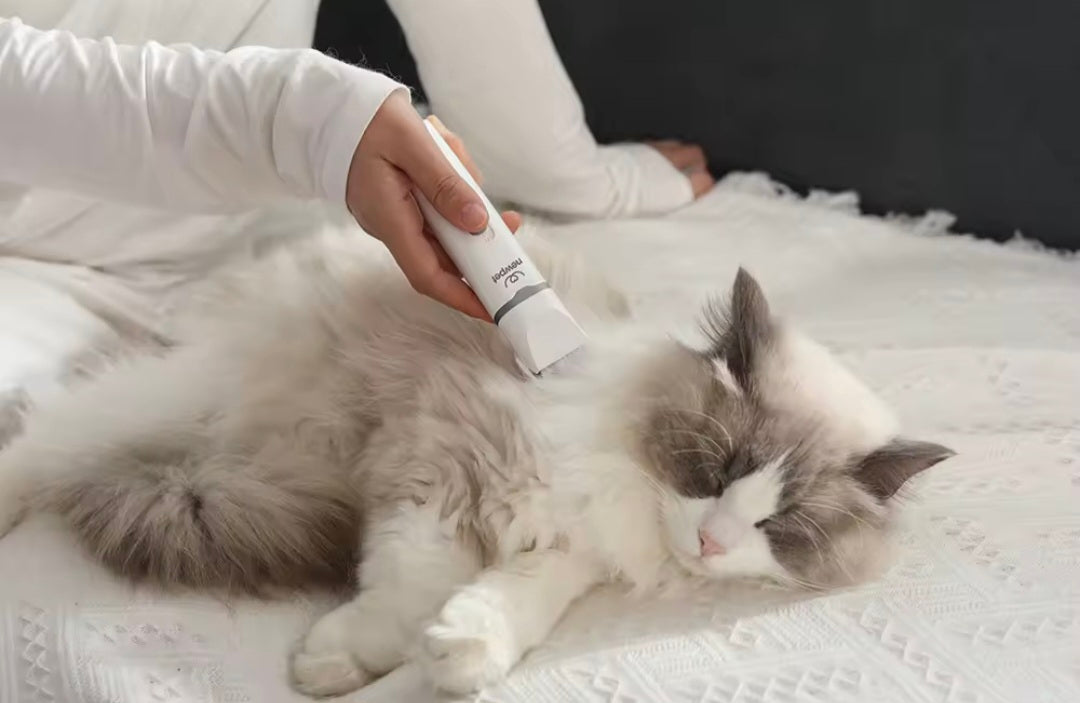 Cortador de Cabelo Elétrico 4 em 1 para Pets - O Chico Tem