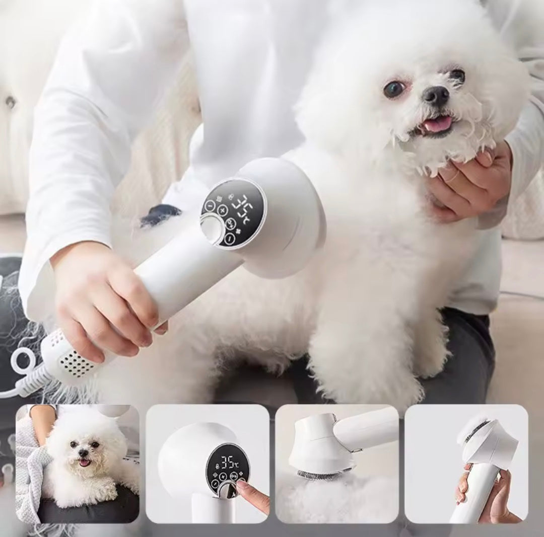 Pet Secador 2 em 1 para  - O Chico Tem