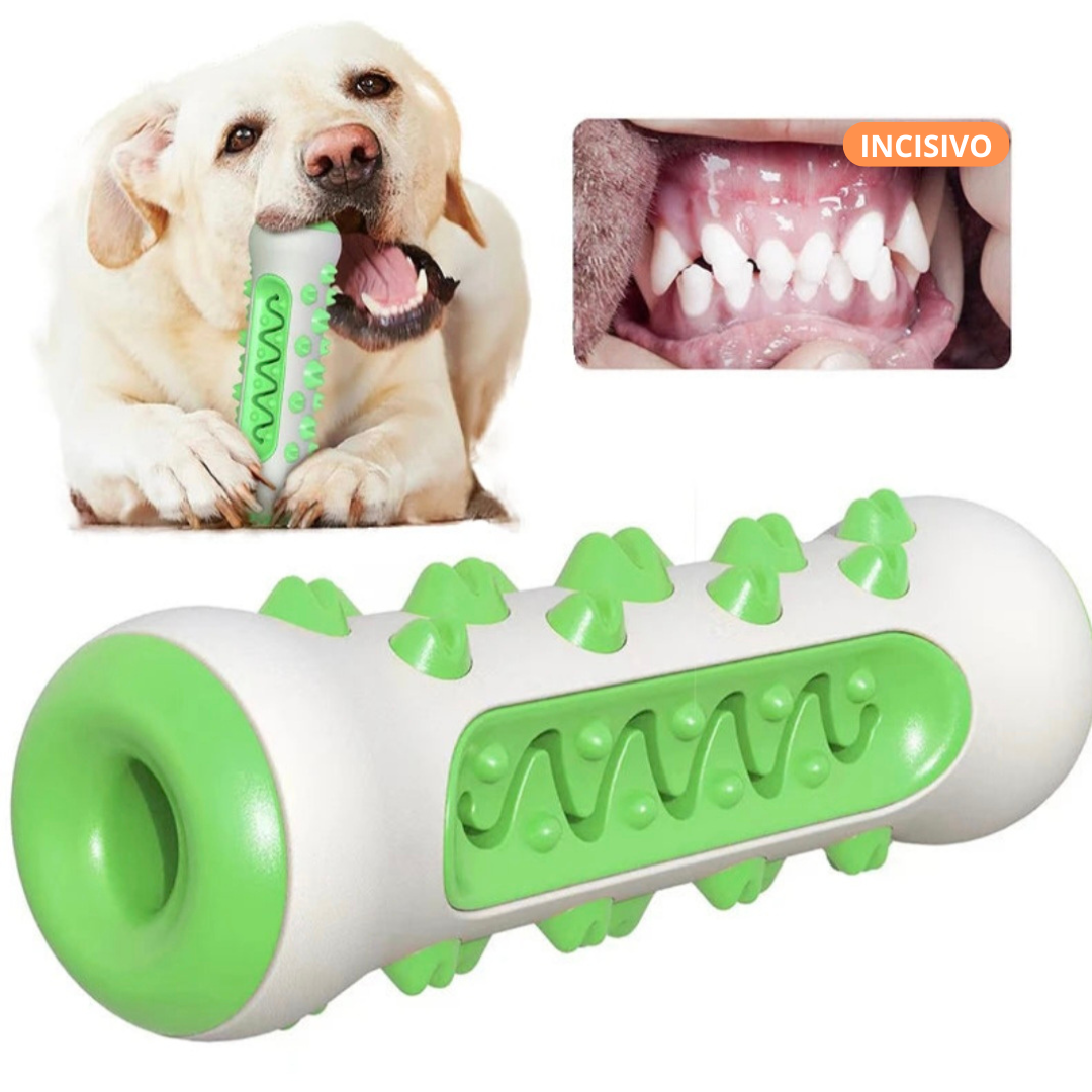 Brinquedos para Limpeza de Dentes para PETS - O Chico Tem