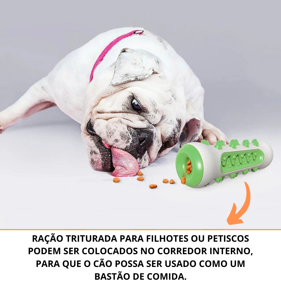Brinquedos para Limpeza de Dentes para PETS - O Chico Tem