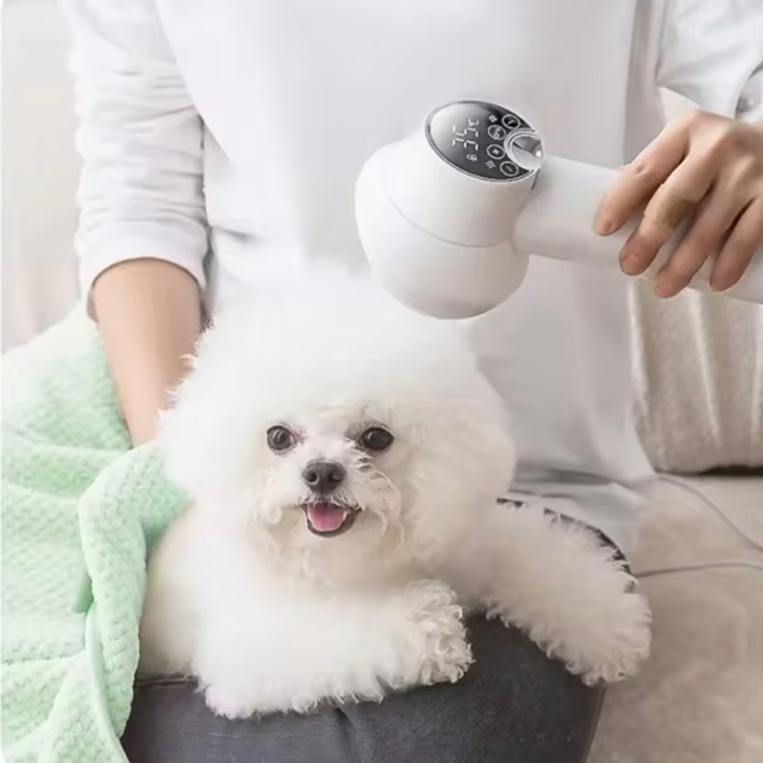 Pet Secador 2 em 1 para  - O Chico Tem